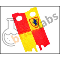 lionsbannerboth2