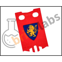lionsbannerboth3