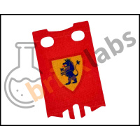 lionsbannerboth4