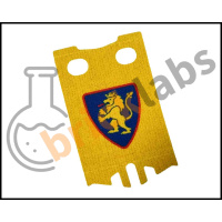 lionsbannerboth6