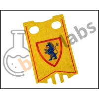 lionsbannerboth77