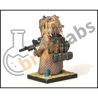 scoutdesert2